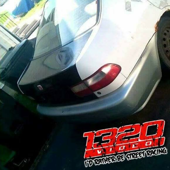 Meet your Posher, Trevor - Picture 1 of 1